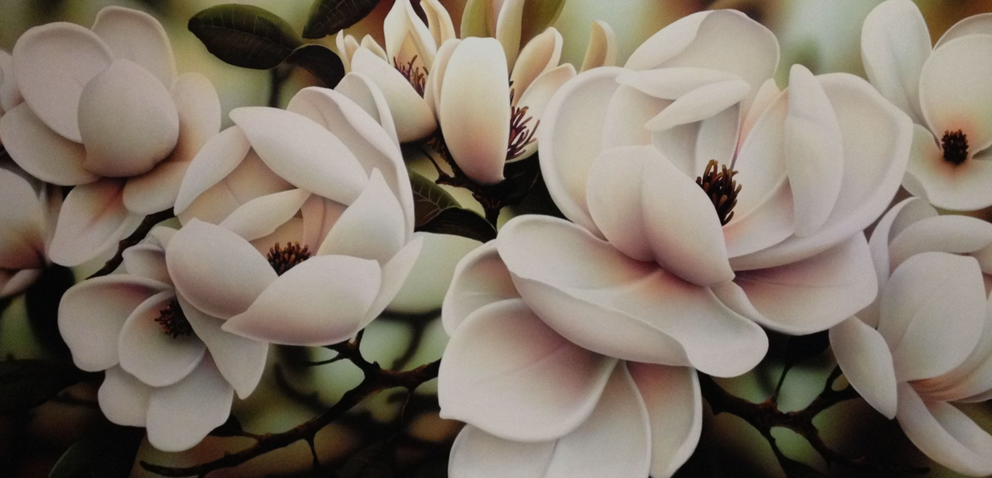warren salter magnolia
